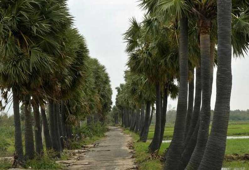 வேளாண் பட்ஜெட்டில் காப்பாற்றப்பட்ட பாரம்பரியம்! 3 கோடி நிதி! – அமைச்சர் எம்.ஆர்.கே.பன்னீர்செல்வம்!