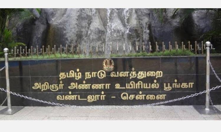 Breaking: வண்டலூர் உயிரியல் பூங்கா திறப்பு! அங்கு இனி இது செயல்பட தற்காலிக தடை!