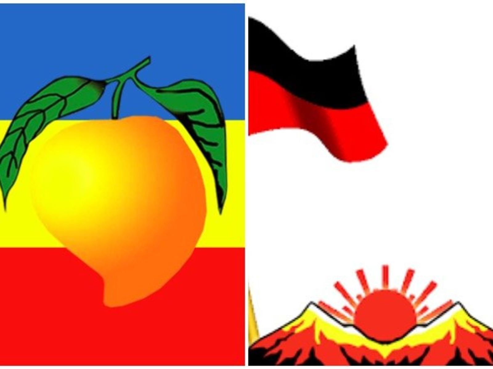 நகர்ப்புற உள்ளாட்சி தேர்தல் பாட்டாளி மக்கள் கட்சி முதல் கட்ட வேட்பாளர் பட்டியல் வெளியீடு! நடுநடுங்கிய ஆளும் தரப்பு!