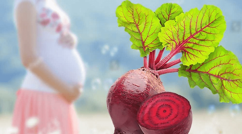 கர்ப்பிணிகள் பீட்ரூட்டை சாப்பிடுவதால் இப்படியெல்லாம் நடக்குமா?! இவ்வளவு நாட்கள் தெரியாமல் போச்சே.!