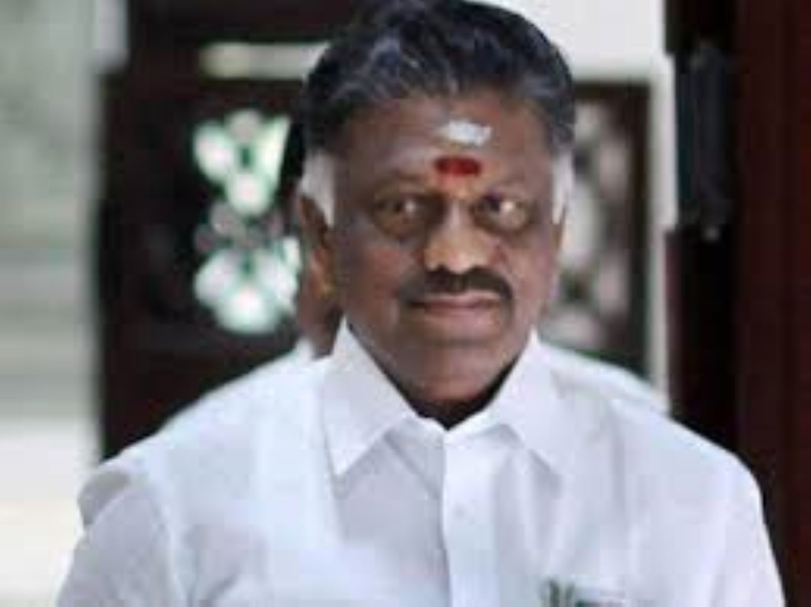 உள்ளாட்சித் தேர்தல் பிரச்சாரம்! மறைமுகமாக எதிர்க்கட்சித் தலைவரை தாக்கிய ஓபிஎஸ்!