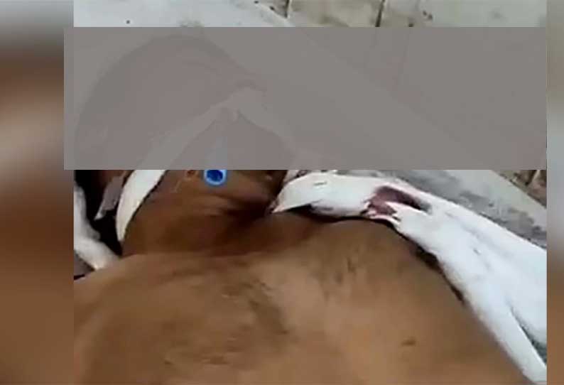 இறந்து விட்டார் என பிணவறைக்கு அனுப்பப்பட்ட உடல்! ஐந்து நாட்கள் கழித்து உயிர் இழந்த பரிதாபம்!