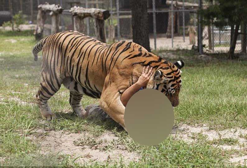 கணக்கெடுப்புக்கு சென்ற பெண் அதிகாரி! தரதரவென்று இழுத்து சென்ற பரிதாபம்!