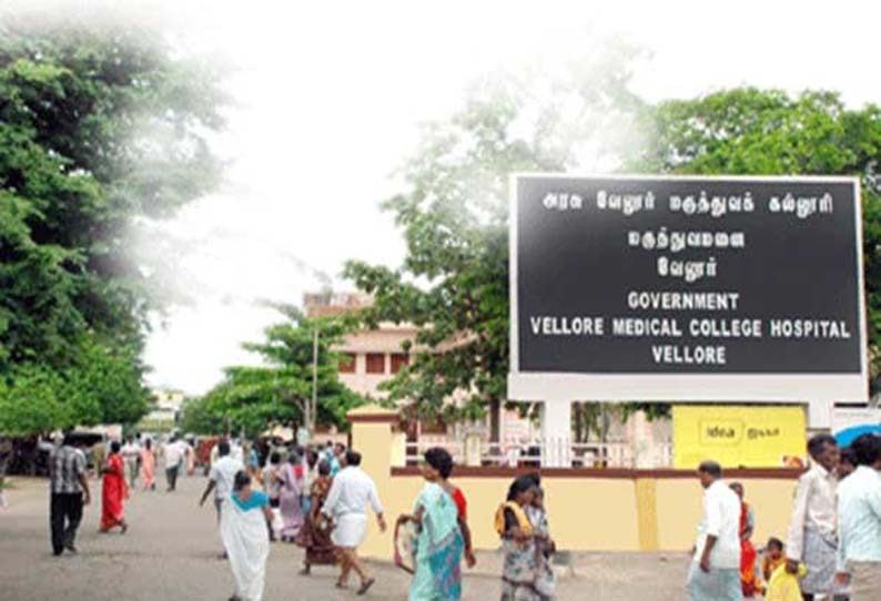 மீன் சாப்பிட்ட பாவத்திற்கு உயிரை விட்ட பிஞ்சு குழந்தைகள்! சோதனை மேற்கொண்ட பணியாளர்கள்!