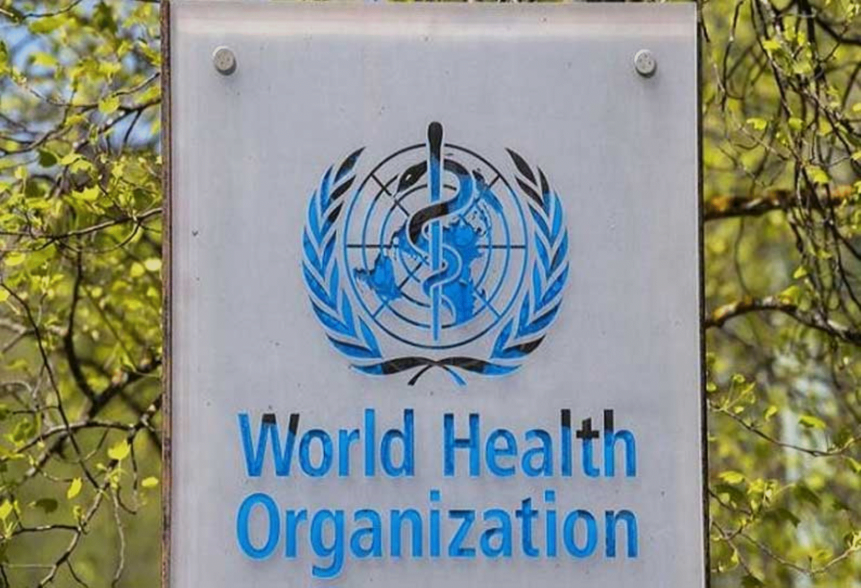 உடனடியாக இதை ரத்து செய்க! உலக சுகாதார அமைப்பு வேண்டுகோள்!