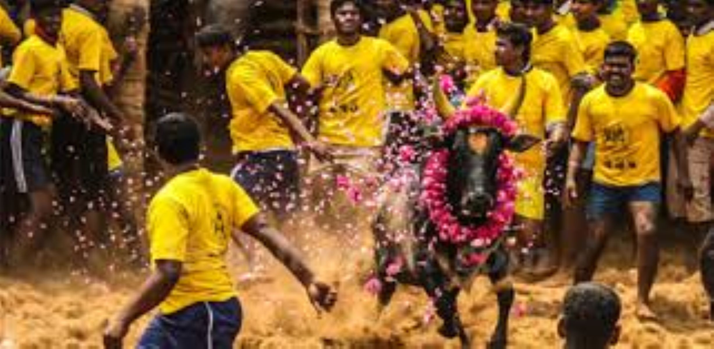 உலகப் புகழ்பெற்ற அலங்காநல்லூர் ஜல்லிக்கட்டு! ஆரவாரத்துடன் தொடக்கம்!