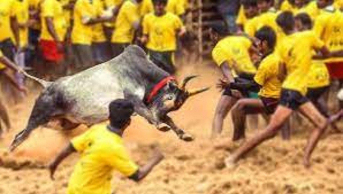 ஊரடங்கால் ஒத்தி வைக்கப்பட்ட ஜல்லிக்கட்டு போட்டி!