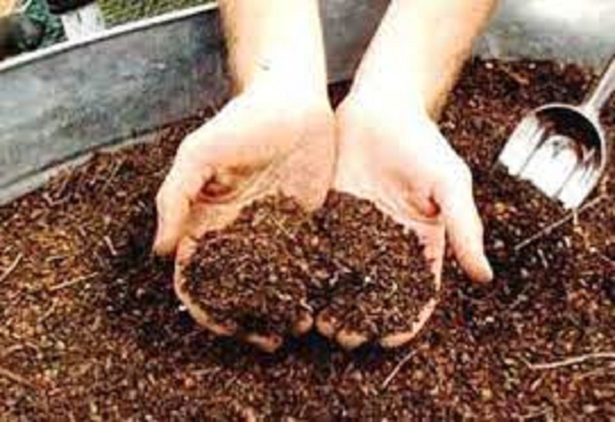 அதிரடி விலை குறைப்பு! கிலோ இருபது ரூபாயாக இருந்த நிலையில் தற்போது மூன்று ரூபாய்க்கு விற்கப்படும் ஆச்சரியம்!!