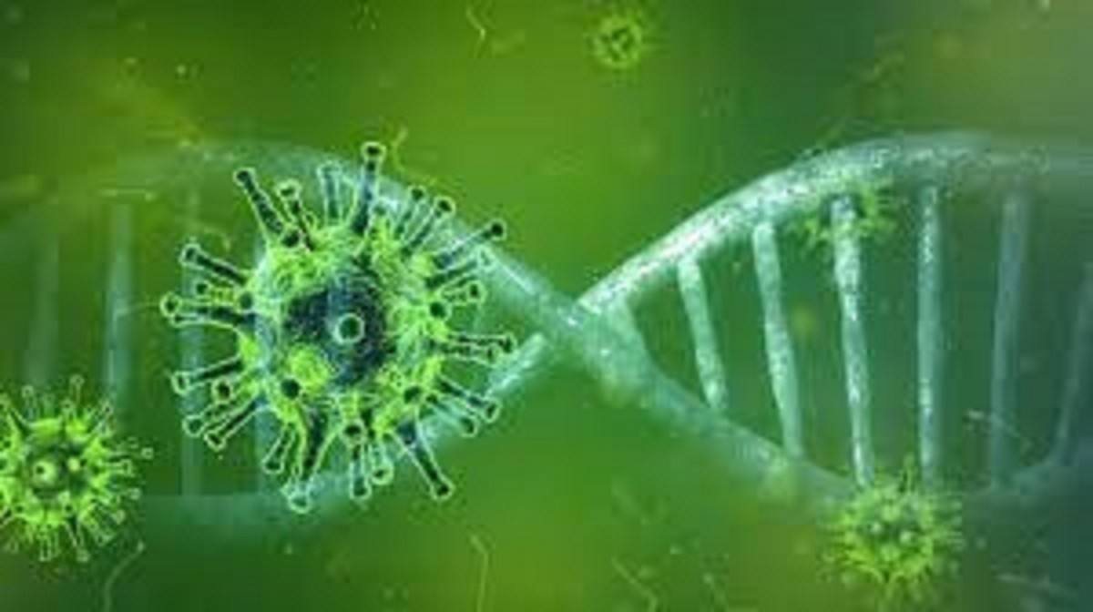 என்னது இது கொரோனாவின் உருமாற்றம் கிடையாதா? என்ன சொல்கிறது ஆய்வு முடிவு?