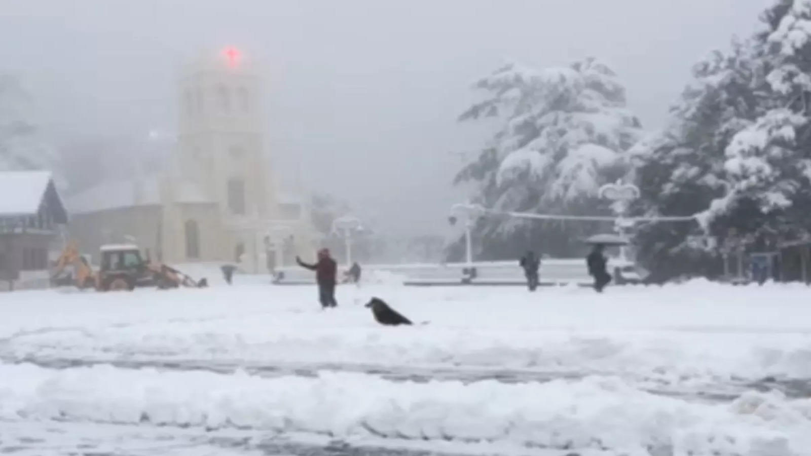 சிம்லாவில் கடும் பனிப்பொழிவு; ஜேசிபியில்  பயணித்து திருமணம் செய்த மணமகன்!