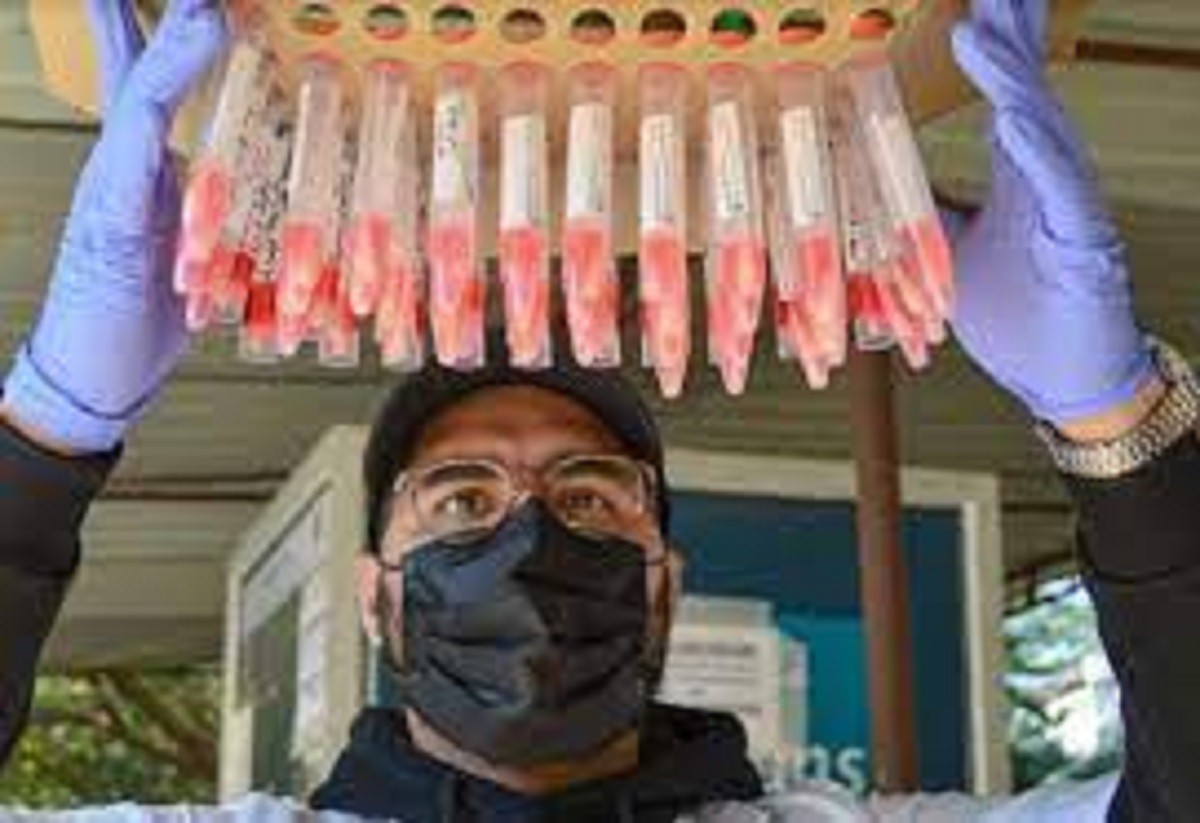 இதனால் ஏற்படும் பாதிப்பு மிக அதிகம்! வெளியான அதிர்ச்சி தகவல்!!