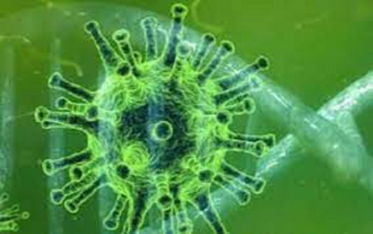 இதுவரை இல்லாத வகையில் டெல்டா மற்றும் ஒமைக்ரான் இணைந்து பரவுகிறது! ஆய்வாளர்கள் அதிர்ச்சி!!