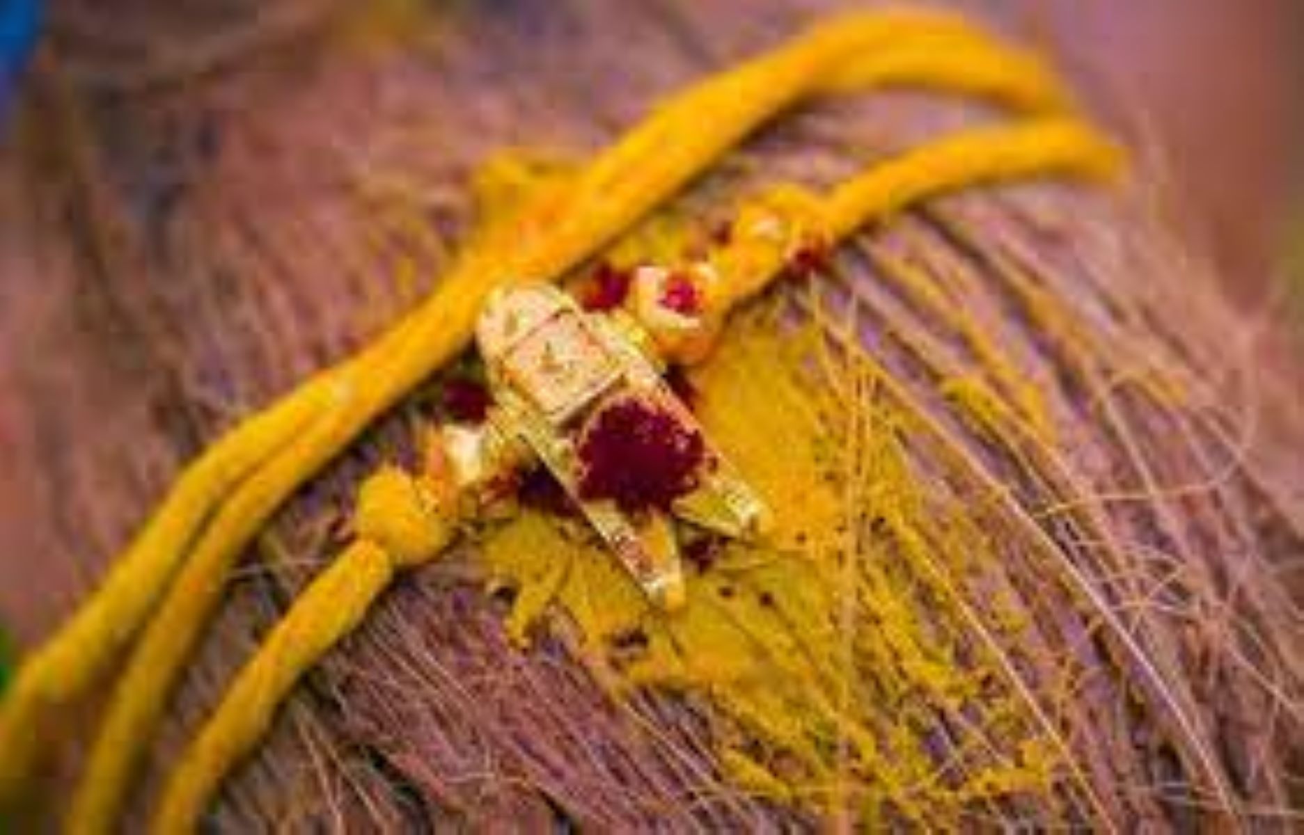 திருமணத்திற்கு சுபமுகூர்த்தம் பார்க்கும்போது நிச்சயம் இந்த 4 விஷயங்களையும் கவனியுங்கள்!