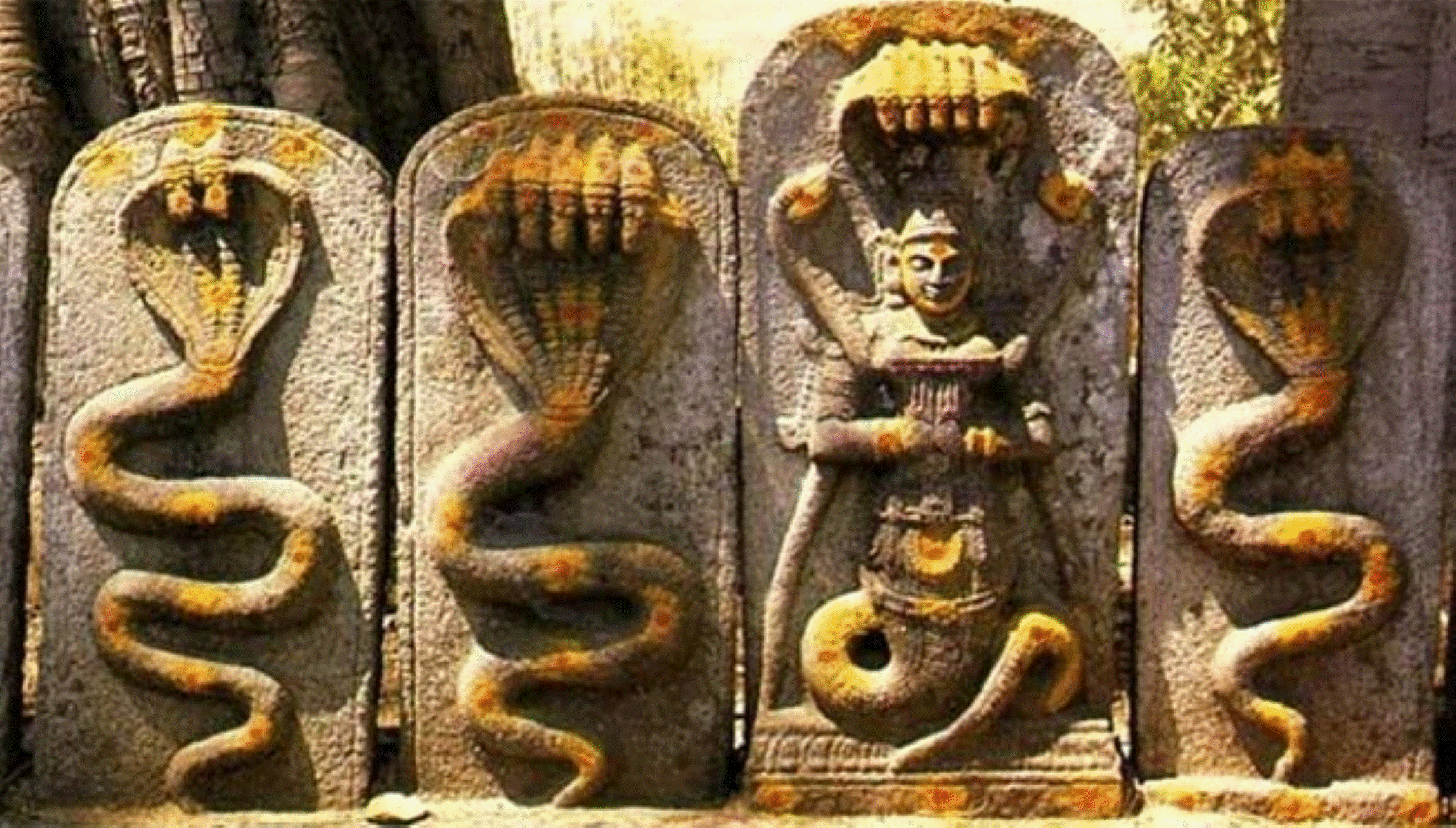 சர்ப்பதோஷம் உண்டாவதற்கான உண்மையான காரணங்கள் இவைதான்!