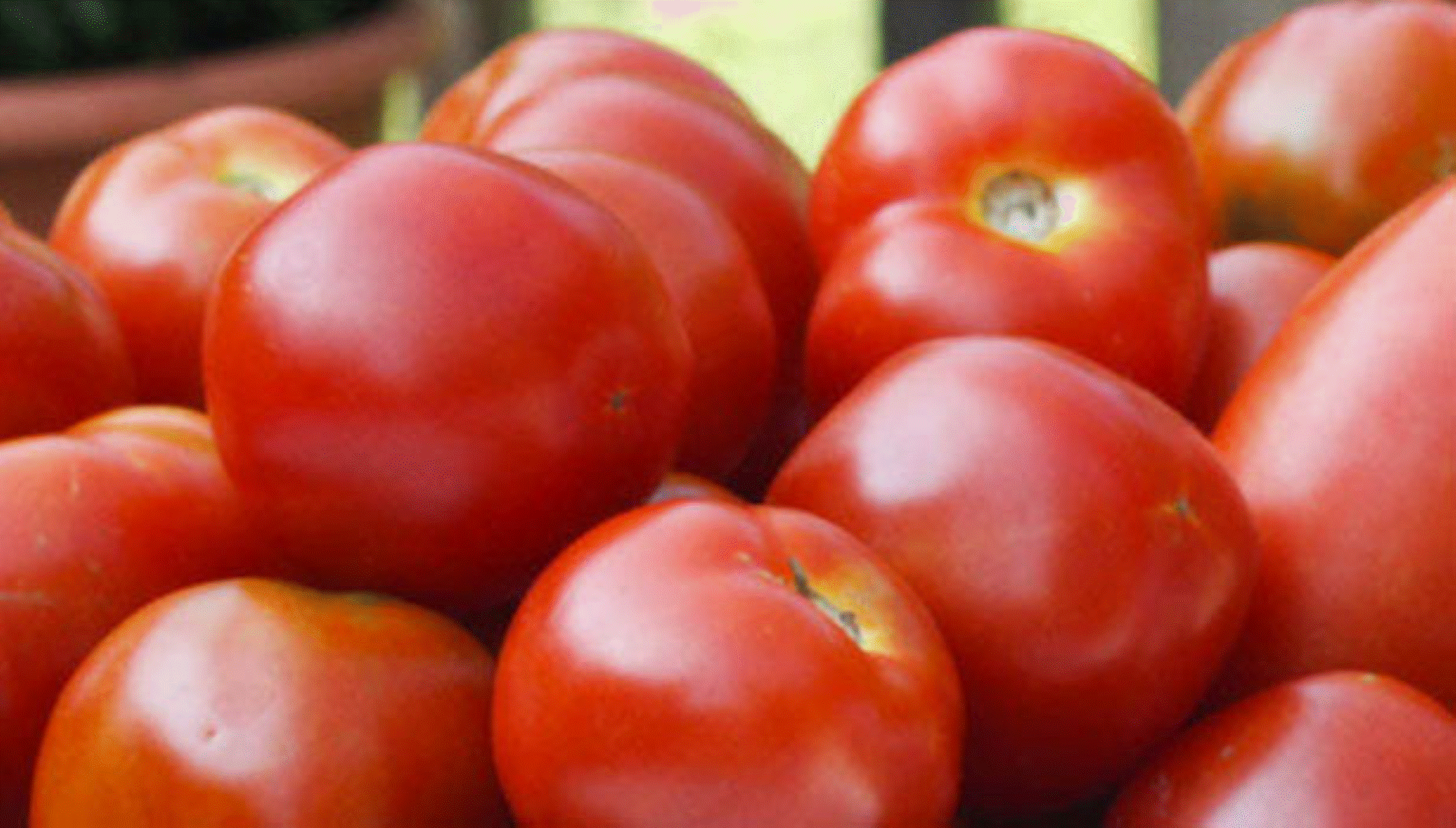 மகிழ்ச்சி தமிழகத்தில் அதிரடியாக குறைந்த தக்காளியின் விலை!