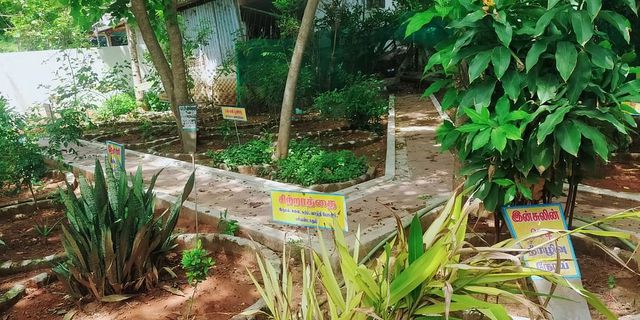 மூலிகை கண்காட்சி நடத்திய அரசு மருத்துவமனை!  வாழப்பாடியில் உற்சாக வரவேற்பு!