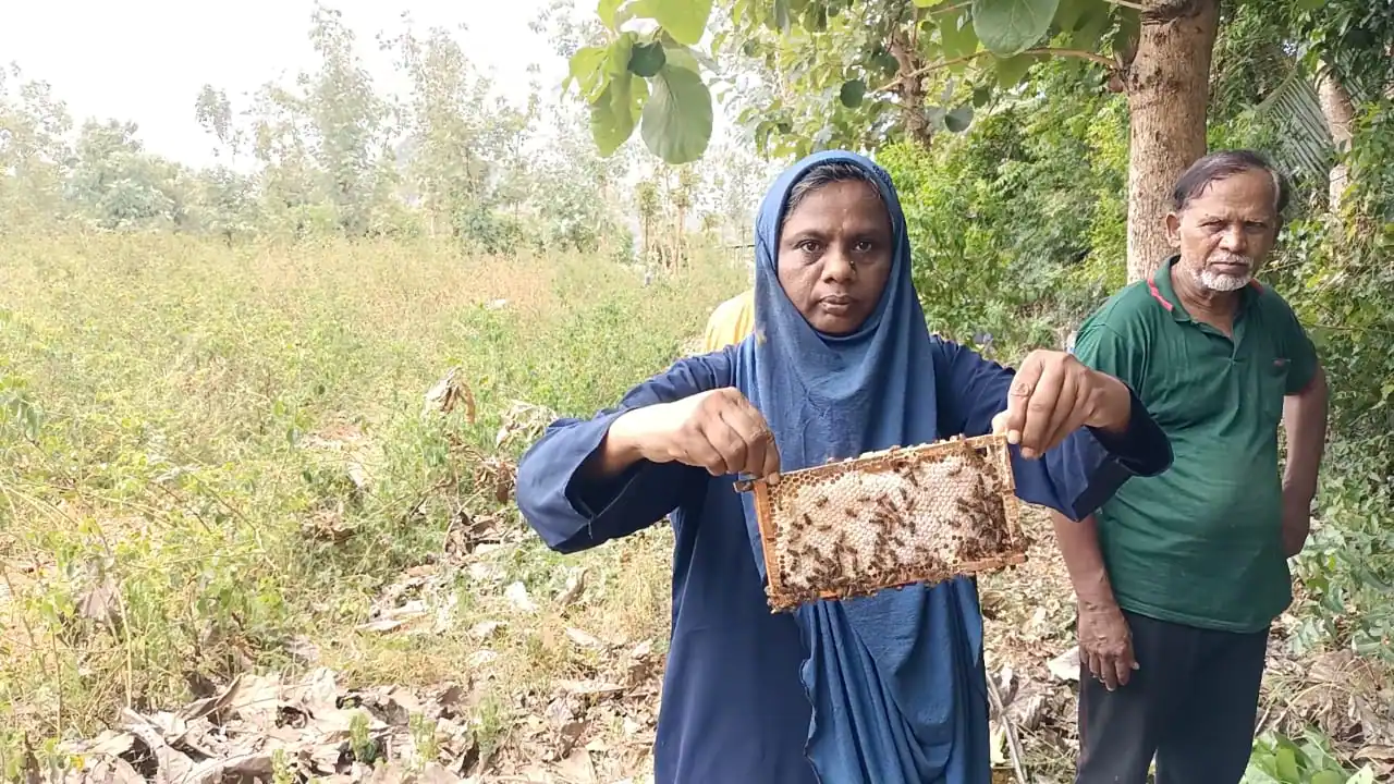 ஆண்டுக்கு 20 லட்சம் வருமானம்! தேனியை கலக்கும் தம்பதியினர்!