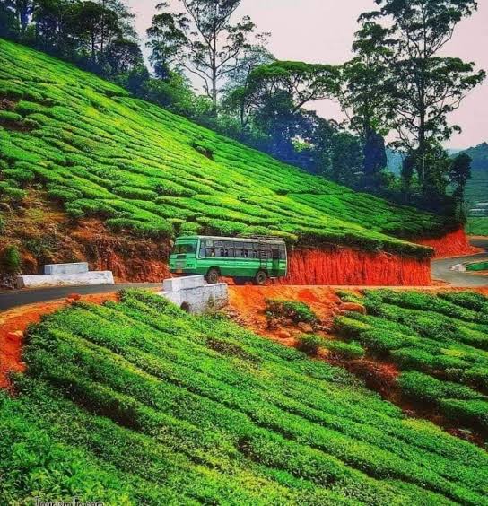 மேகமலை சரணாலயம் தனியார் மயமாகிவருவதாக சமூகஆர்வலர்கள் குற்றச்சாட்டு!