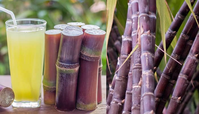 இனிப்போ இனிப்பு! ஒரு தடவை சுவைத்தால் மீண்டும் சுவைக்க தூண்டும்! கரும்பில் அப்படி என்னங்க இருக்கு!!