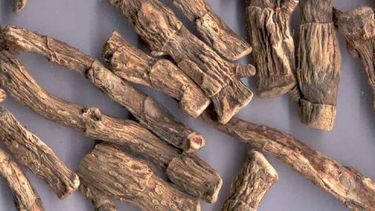 அதிசயம் நிறைந்த வசம்பு!! உடலில் உள்ள அனைத்து பிரச்சனைகளுக்கும் நொடியில் தீர்வு!!