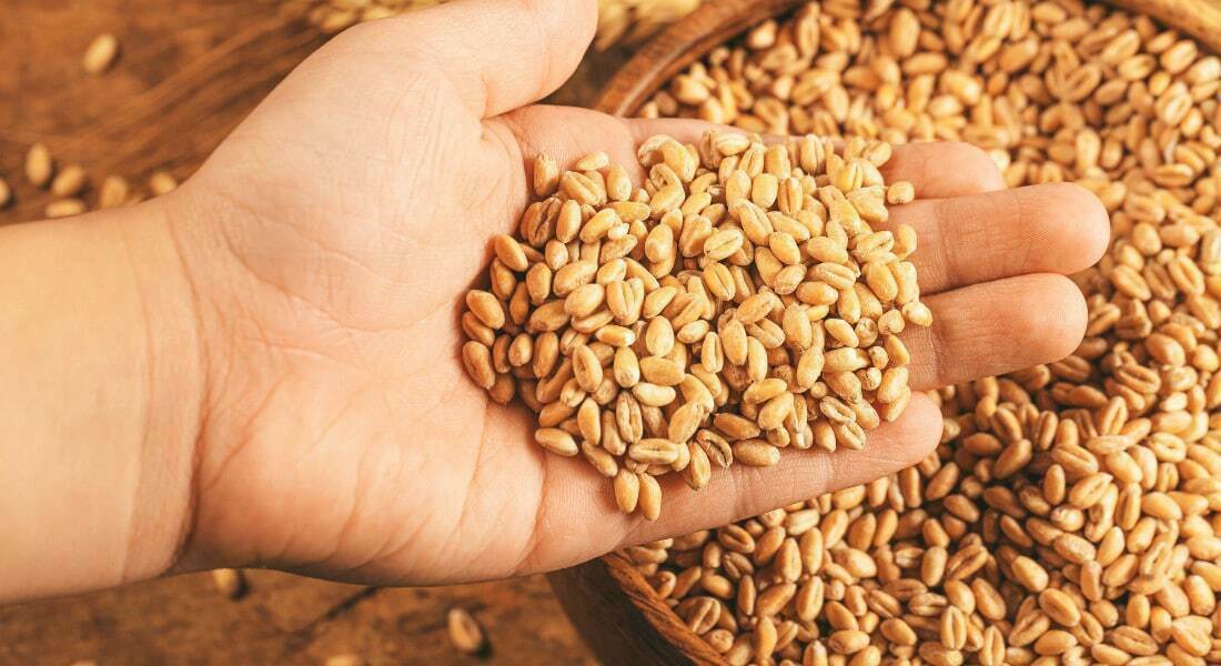 ஐ.நா பொதுச்செயலாளர் முன்னிலையில் உக்ரைன், ரஷ்யா தானிய ஏற்றுமதிக்கு கையெழுத்திட உள்ளதாக தகவல்!!..