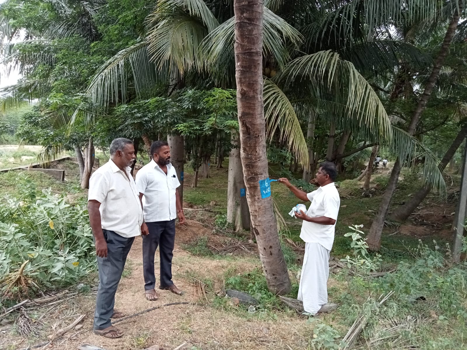 நீர்வளத்துறை மூலம் மரங்களுக்கு குறியீடு பணி தீவிரம்!  