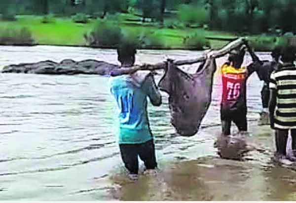 பால்கர் மாவட்டத்தில்..நெஞ்சை உலுக்கிய கண்கலங்க வைத்த காட்சி!.விபத்தில் சிக்கிய பெண்ணை காப்பாற்றும் முயற்சி!..