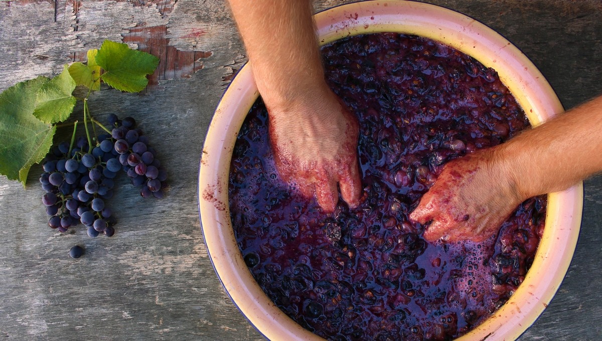 யுடியூப் பார்த்து மது தயாரித்த பள்ளி மாணவன்… குடித்த நண்பனுக்கு ஏற்பட்ட பிரச்சனை