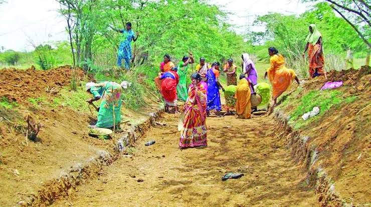 ஊரக வேலை உறுதி திட்டத்தின் கீழ் உங்களுக்கு ஏதேனும் குறைகள் உள்ளதா? இனி இவரிடம் கூறினால் போதும்!