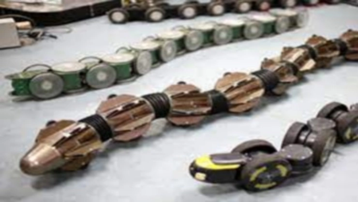 புதியவகை பாம்பு ரோபோ அறிமுகம்! அவற்றின் பயன்பாடுகள்!