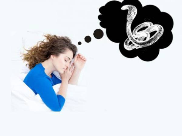 உங்களுக்கு நாக தோஷம் உள்ளதா? அதனை நீக்க உடனே இதை செய்யுங்கள்!!