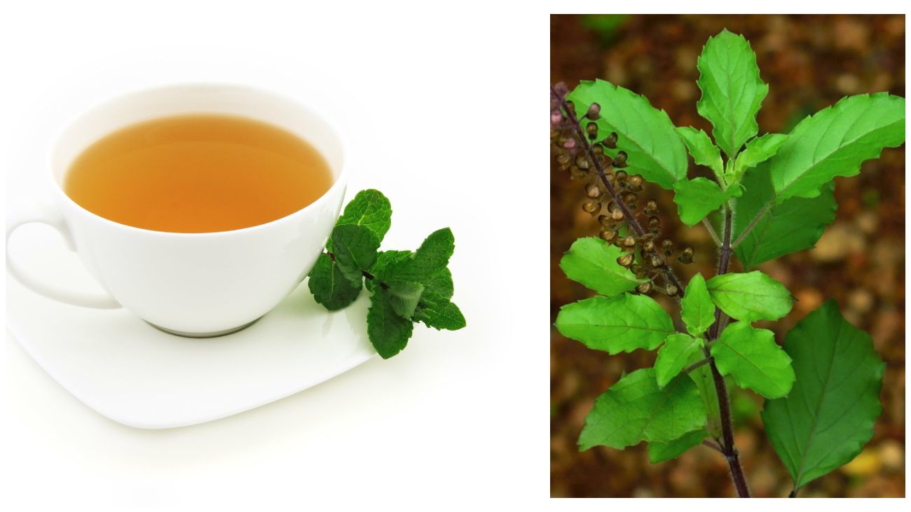 நாள் முழுவதும் சுறுசுறுப்பாக அமைய வேண்டுமா? இதைக் குடிச்சுப் பாருங்க..!!