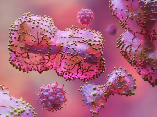 குரங்கம்மை நோயால் 15 பேர் பலி! உலக சுகாதாரத்துறை வெளியிட்ட அறிவிப்பு!