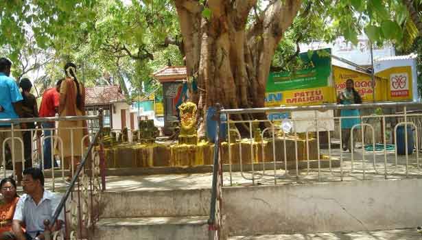 பிரச்சனை இல்லா வாழ்க்கை அமைய கருப்பசாமியை வழிபடுவோம்!..