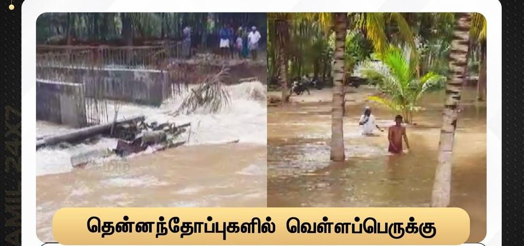 பழனியில் வெள்ளப்பெருக்கு! தென்னந்தோப்பில் இடுப்பளவு தண்ணீர்!