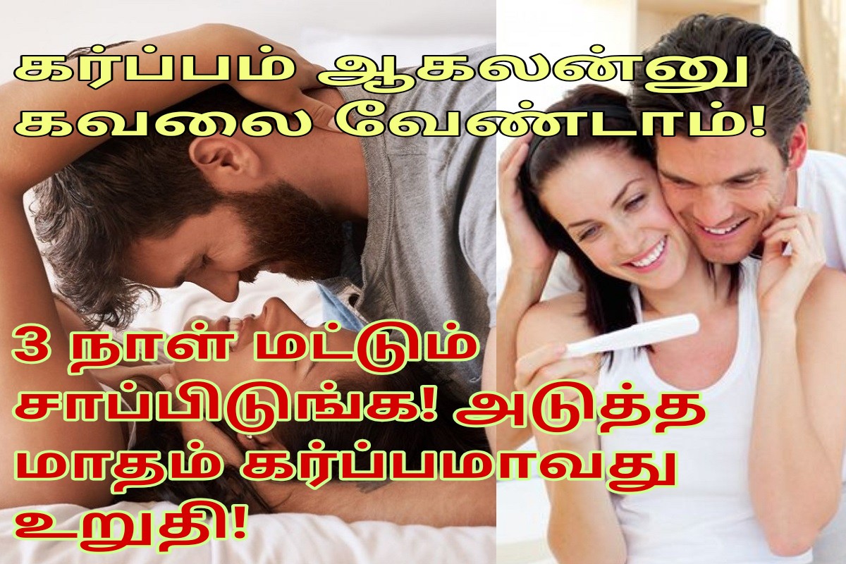 3 நாள் மட்டும் சாப்பிடுங்க! அடுத்த மாதம் கர்ப்பமாவது உறுதி!