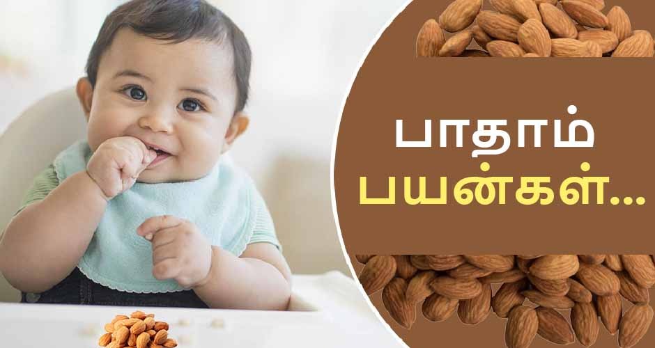 இந்த ஒரு பருப்பில் இத்தனை பயன்களா? யாருக்கெல்லாம் தெரியும்?