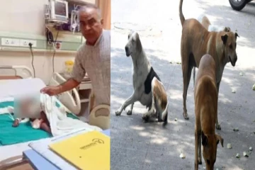 ஏழு மாத குழந்தையை கடித்து குதறிய தெரு நாய்! ஆர்பாட்டத்தில் ஈடுபட்ட பொதுமக்கள்!