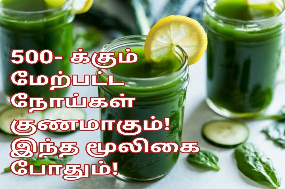 500 – க்கும் மேற்பட்ட நோய்கள் குணமாகும்! இந்த மூலிகை போதும்!