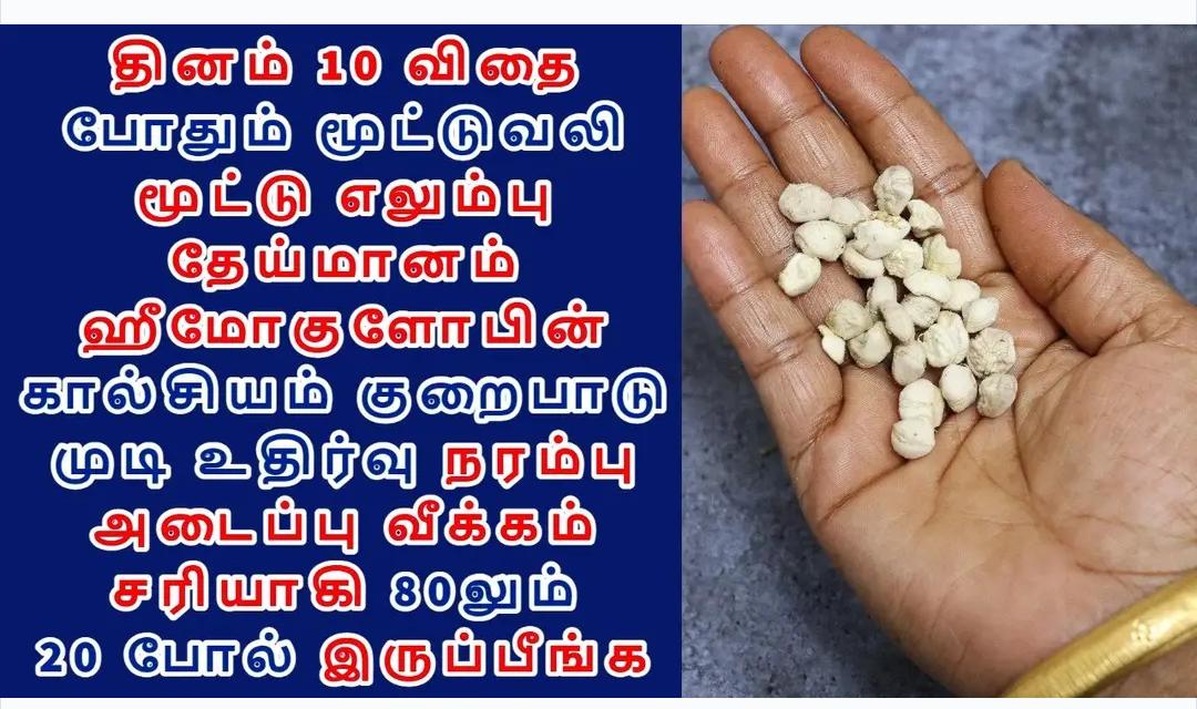 10 விதை போதும்! எலும்பு தேய்மானம் மூட்டு வலி கால்சியம் பிரச்சனை ஓடியே விடும்!