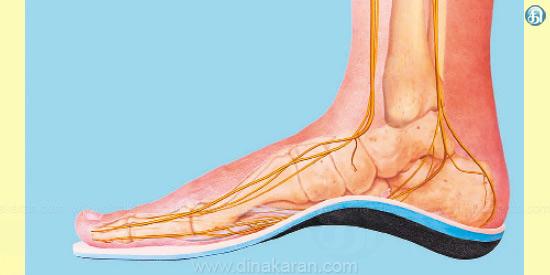 இந்த ஐந்து பொருட்கள் இருந்தால் மட்டும் போதும்! நரம்புகள் வலுபெறும்!