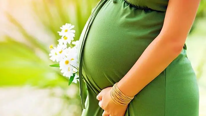 Breaking: Two months pregnant before marriage! The famous actress who registered marriage immediately!