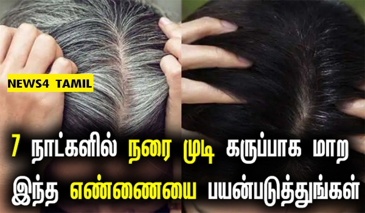 7 நாட்கள் மட்டும் இந்த ஆயிலை பயன்படுத்தினால் நரை முடி கருப்பாக மாறும்  அதிசயம் - News4 Tamil : Tamil News | Online Tamil News Live | Tamil News  Live | News in Tamil 