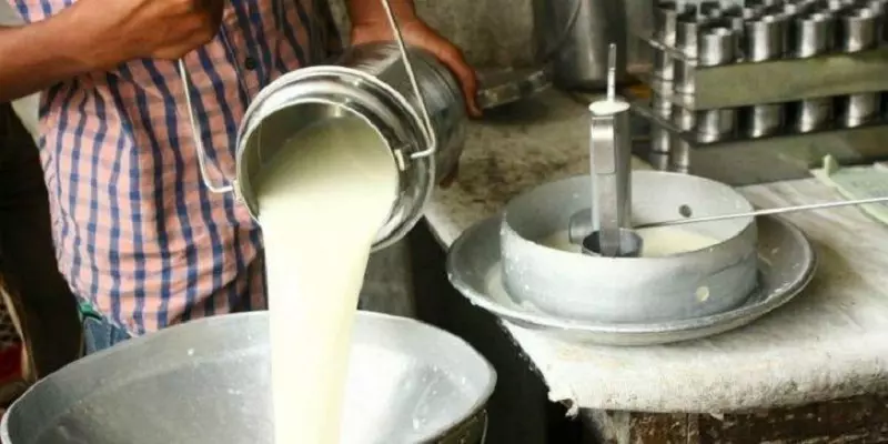 Milk price drastic increase? A sudden announcement by the government!
