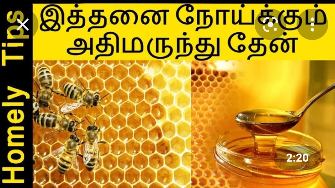 தேனின் வியக்க வைக்கும் மருத்துவ குணம்! எதனுடன் எப்படி கலந்து சாப்பிடலாம்?