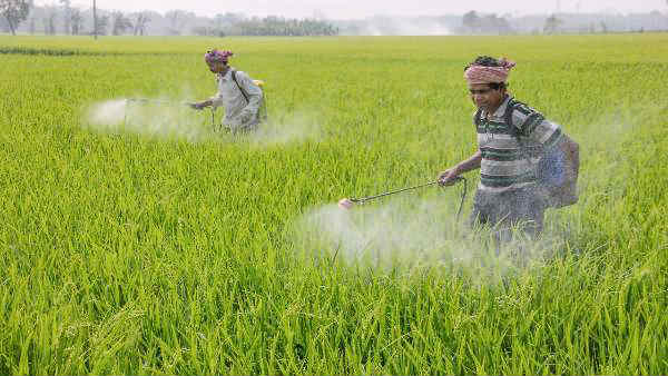விவசாயிகளுக்கு மகிழ்ச்சியான அறிவிப்பு.. பயிர் காப்பீட்டுக்கான காலக்கெடு நீட்டிப்பு..!