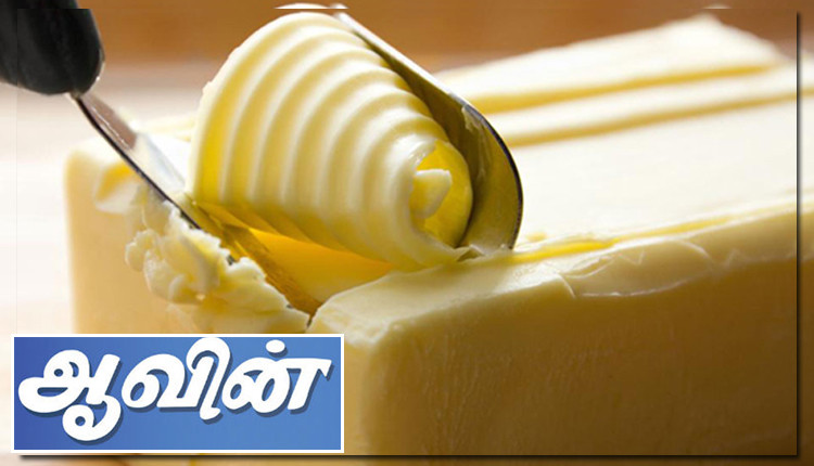 ஆவின்  கொடுக்கும் அடுத்தடுத்து அதிரடி! இந்த பொருளின் விலை இன்று முதல் உயர்வு!