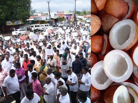 கொப்பரை தேங்காய் விலையை உயர்த்தி வழங்க வலியுறுத்தி விவசாயிகள் ஆர்ப்பாட்டம்!