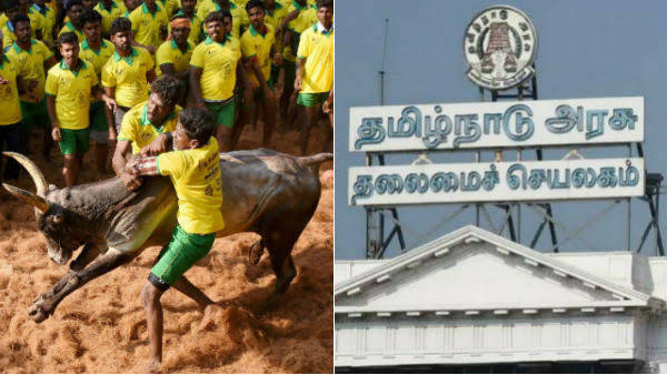 ஜல்லிக்கட்டு போட்டி நடைபெறுமா? தமிழக அரசு வெளியிட்ட முக்கிய தகவல்!