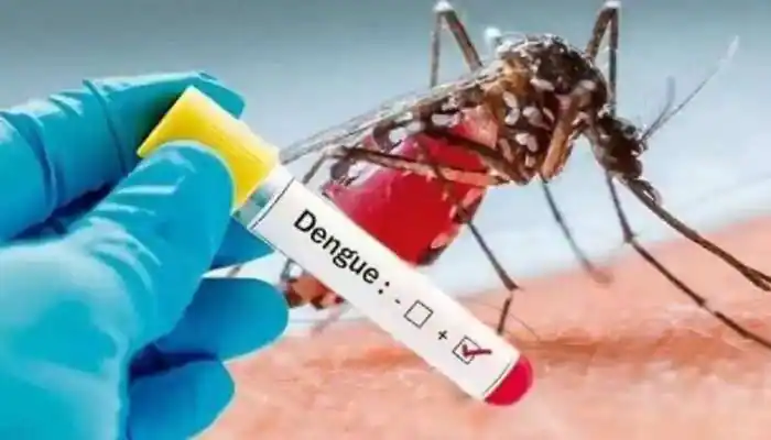 Dengue fever is on the rise! Panic people!